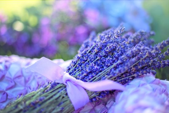 découvrez l'art de l'aromathérapie de luxe, où les huiles essentielles de haute qualité et les mélanges raffinés se rencontrent pour offrir une expérience sensorielle inégalée. plongez dans un monde de bien-être et de sérénité, et éveillez vos sens avec nos produits exclusifs.