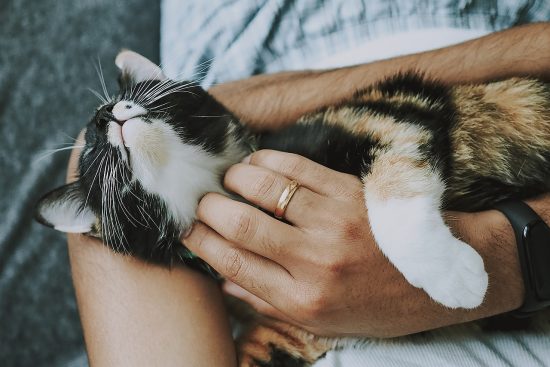 découvrez l'univers du luxe avec notre service de soins haut de gamme. offrant une expérience personnalisée et raffinée, luxury care s'engage à sublimer votre bien-être tout en vous enveloppant d'une attention exceptionnelle. élevez votre quotidien avec un soin de luxe inégalé.