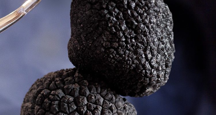 découvrez l'univers des truffes de luxe, où chaque bouchée est une expérience gustative exceptionnelle. offrez-vous un voyage sensoriel inoubliable avec nos truffes artisanales, raffinées et d'une qualité inégalée.