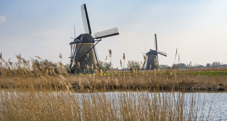 découvrez des visites culturelles fascinantes qui vous plongent au cœur des traditions et de l'histoire locale. explorez des sites emblématiques, rencontrez des artisans passionnés et vivez des expériences authentiques qui enrichissent votre voyage.